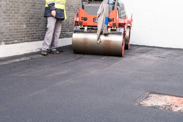 Best Driveway Border and Edging  in Yellow Springs, OH